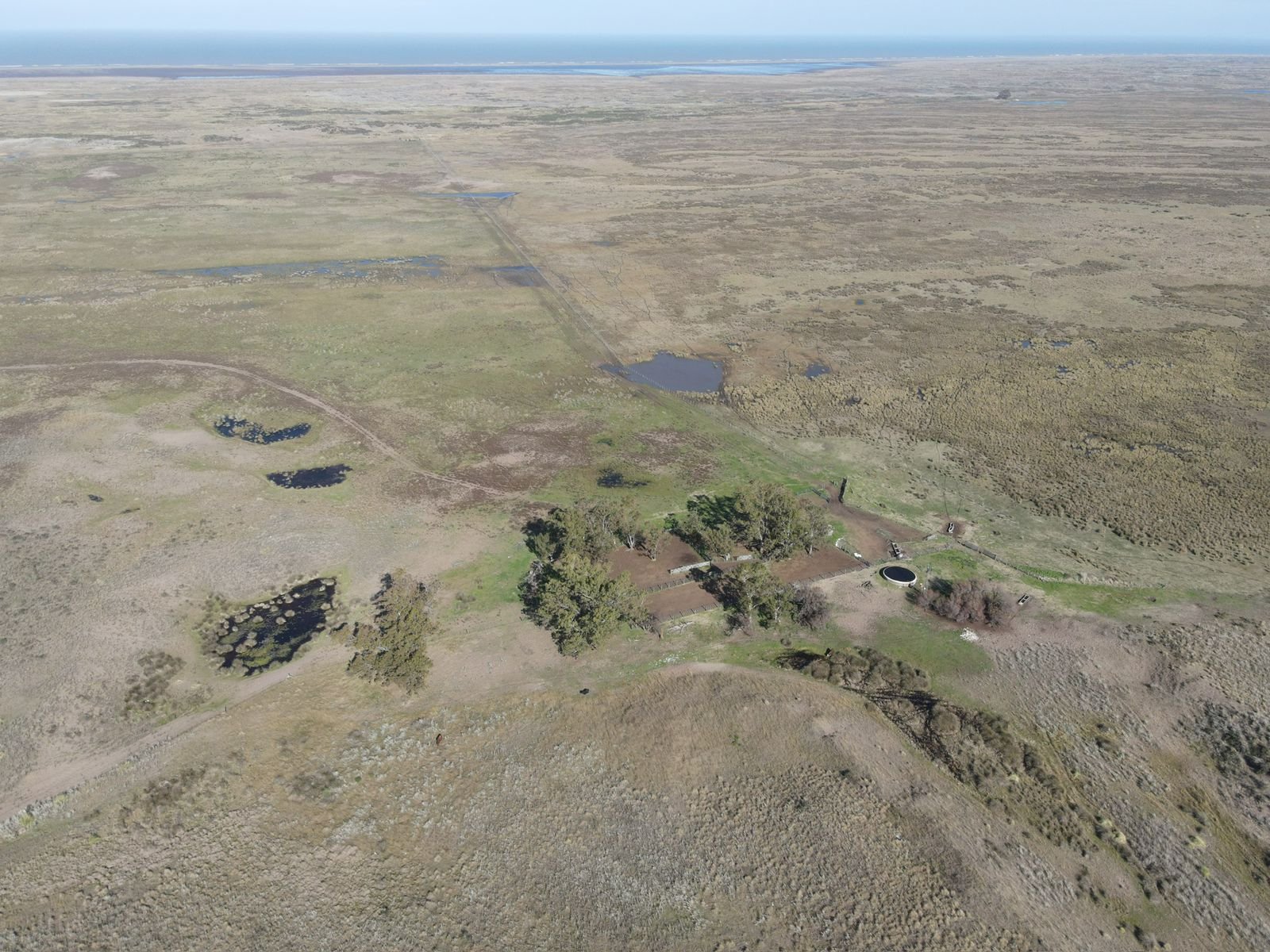 1600 hectáreas - Coronel Dorrego - Image 3