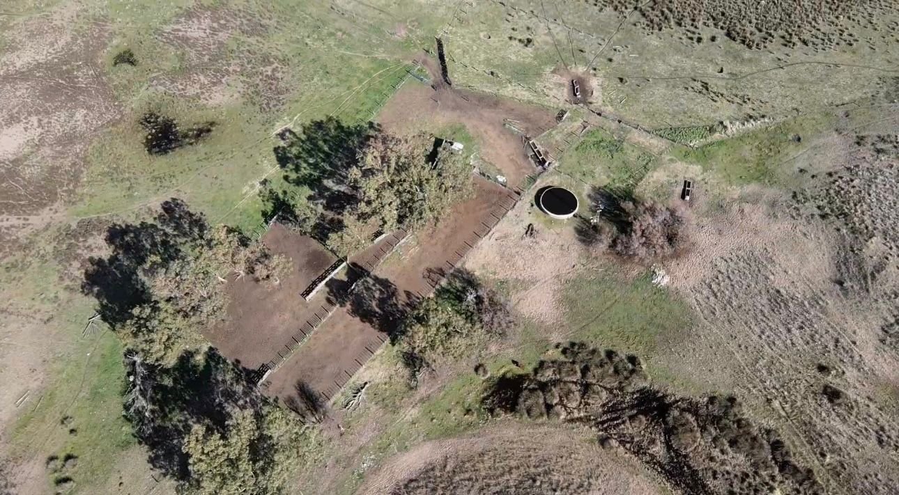 1600 hectáreas - Coronel Dorrego - Image 2