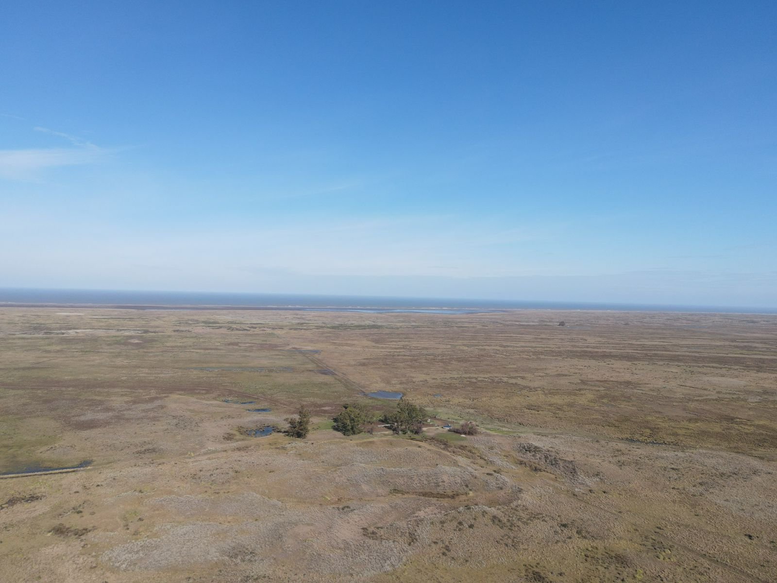 1600 hectáreas - Coronel Dorrego - Image 6