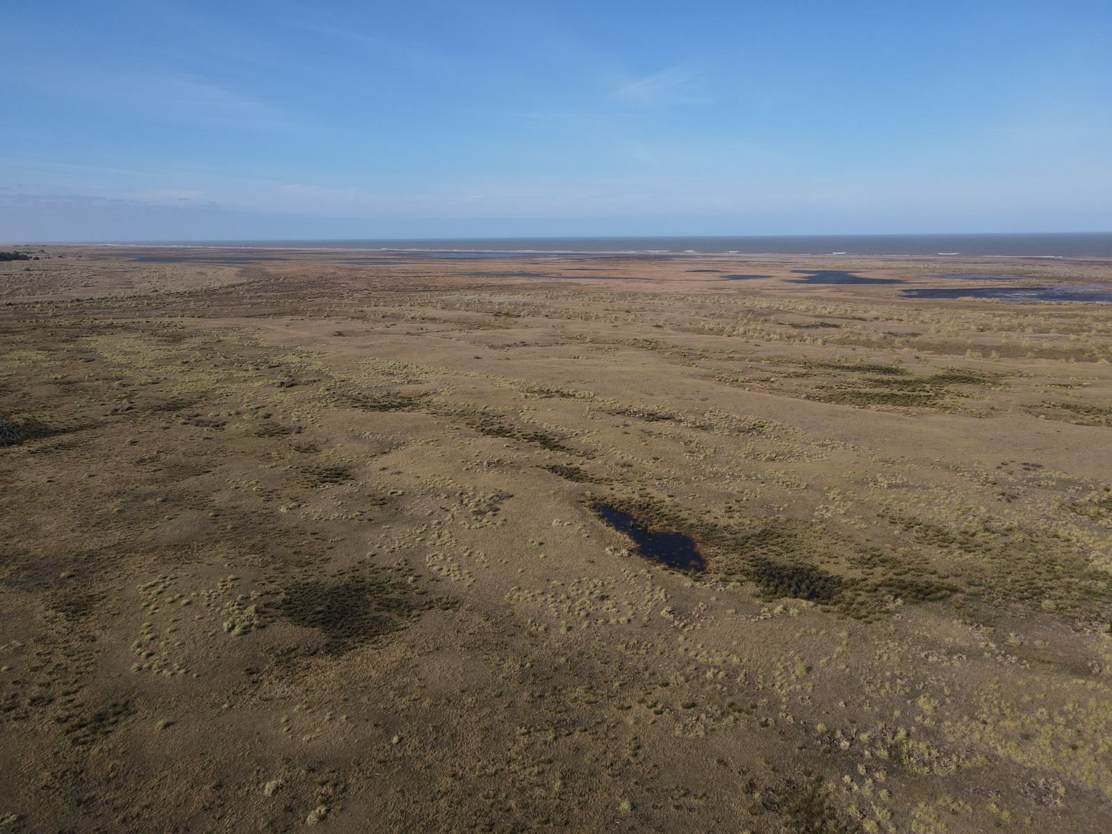 1600 hectáreas - Coronel Dorrego - Image 5