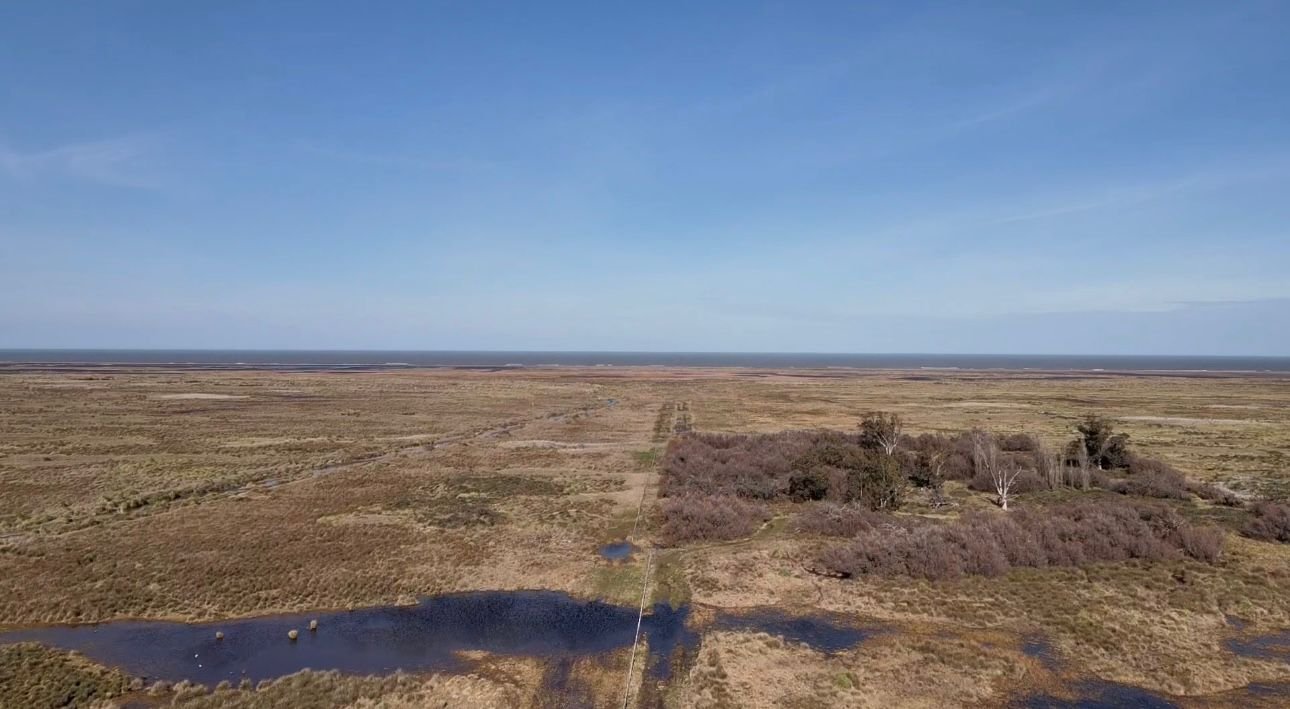 1600 hectáreas - Coronel Dorrego - Image 4